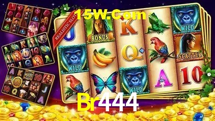 Experimente o Login Seguro Premium no Br444
